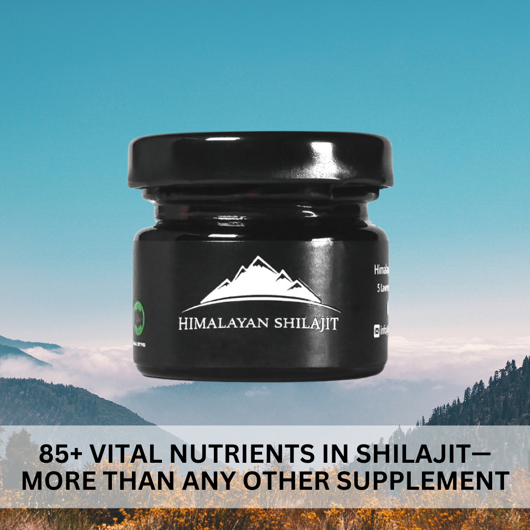 List of Minerals & Vitamins in Shilajit: What Makes Shilajit So Unique?