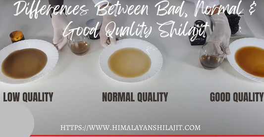  Quality of Shilajit