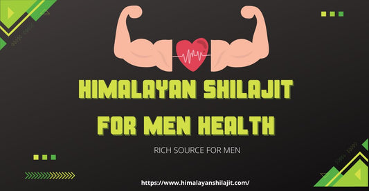 Shilajit Benefits For  Male Health