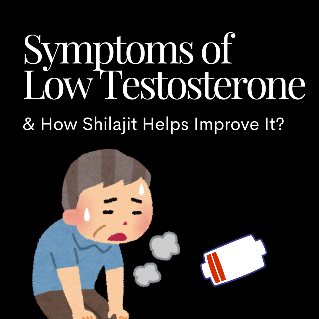 Low Testosterone Symptoms & How Shilajit Can Help!