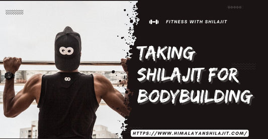 Himalayan Shilajit for Bodybuilding