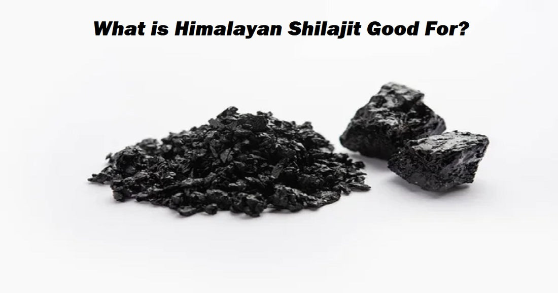 Shilajit Good For?